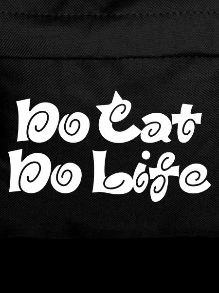 No Cat No Life