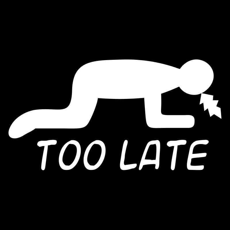 Alcool party chat cadeau pour les fêtards