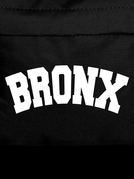 BRONX, NYC