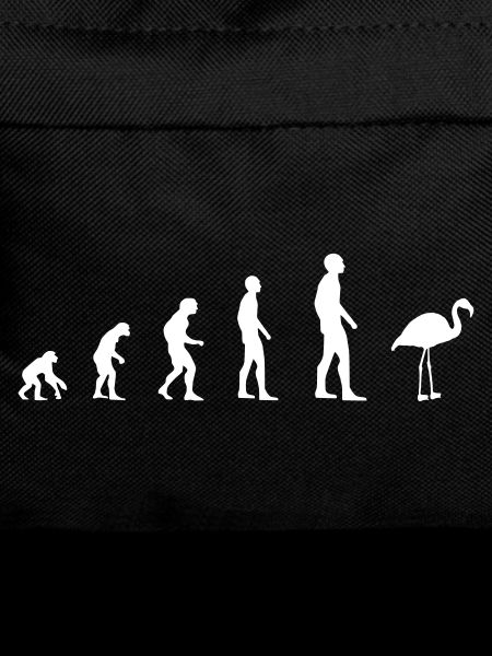 Flamingo - Evolution