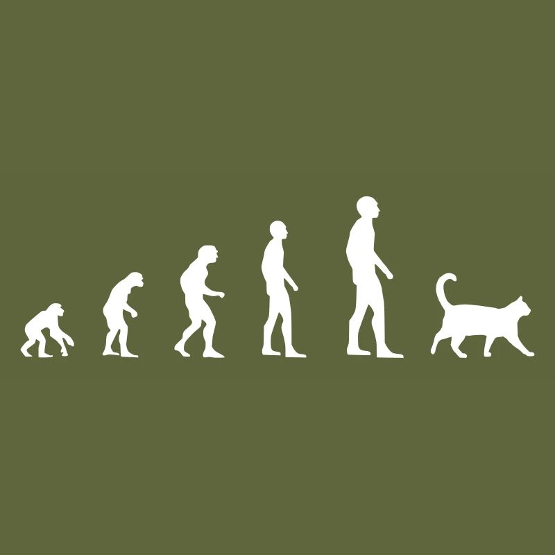 Katze – Evolution
