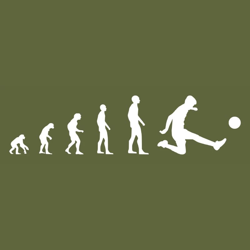 Fußball – Evolution