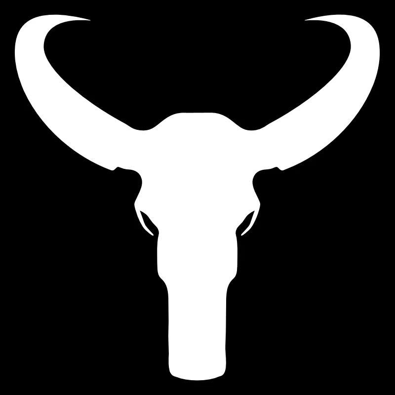 Bull Skeleton