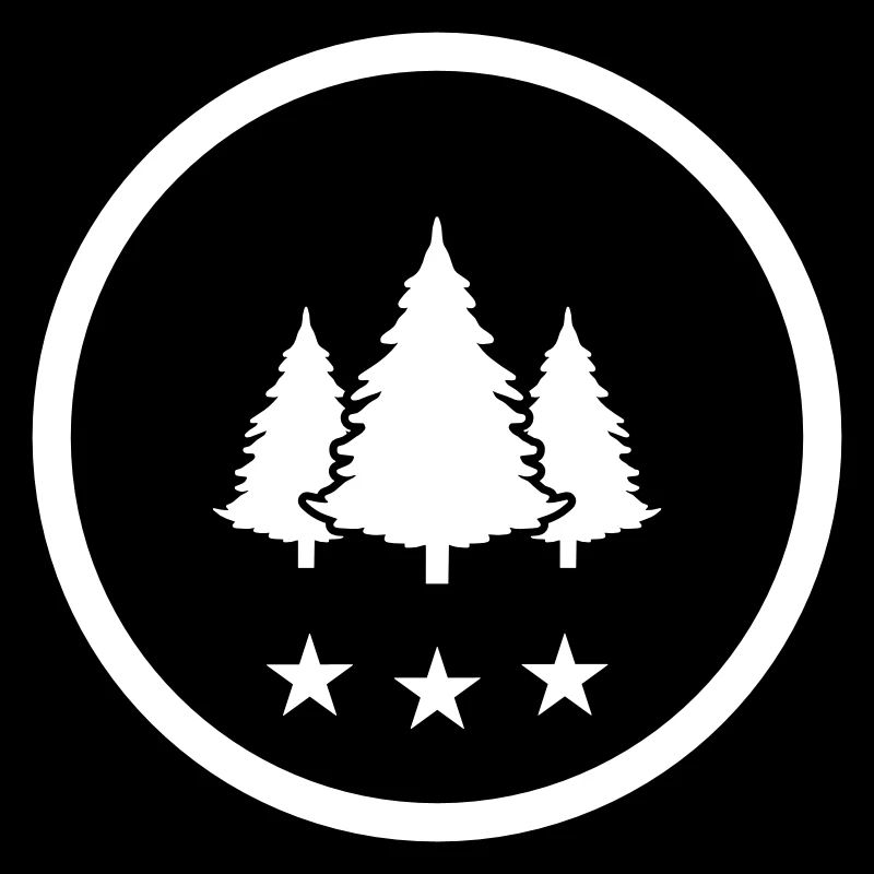 Sapin forestier arboré