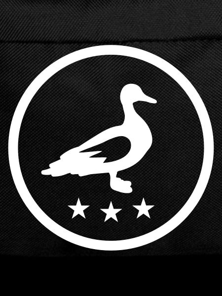 Duck animal