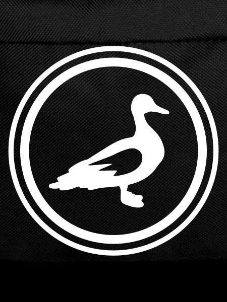 Duck animal