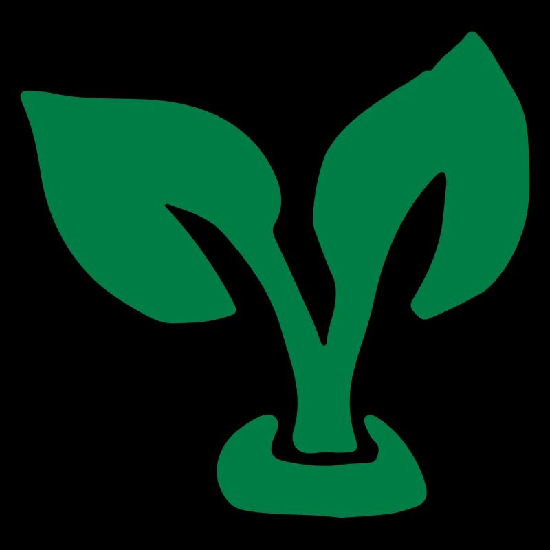 Feuille gross / leaf - plant - Germin