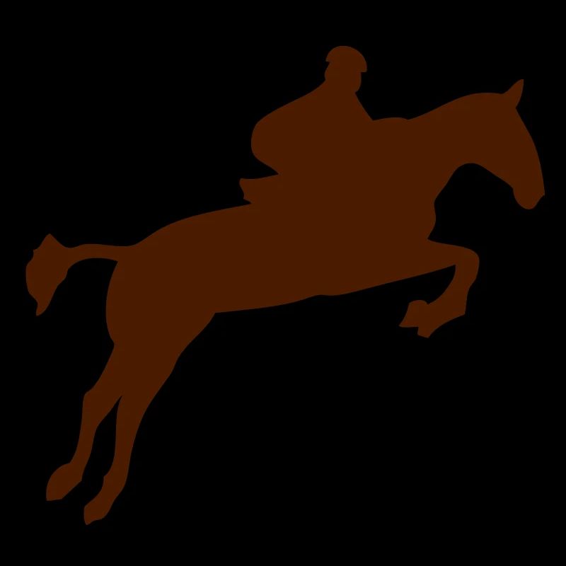 saut obstacle cheval monte 1