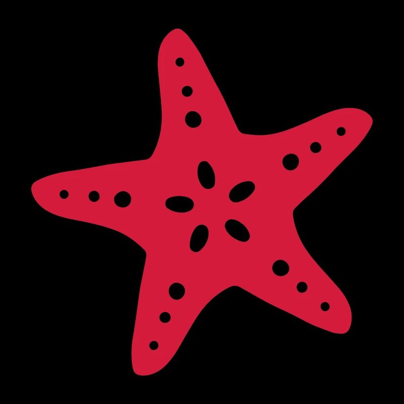 étoiles de mer starfish plongée mer Diving ocean