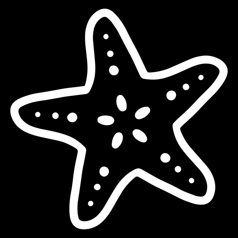étoiles de mer starfish étoile de mer