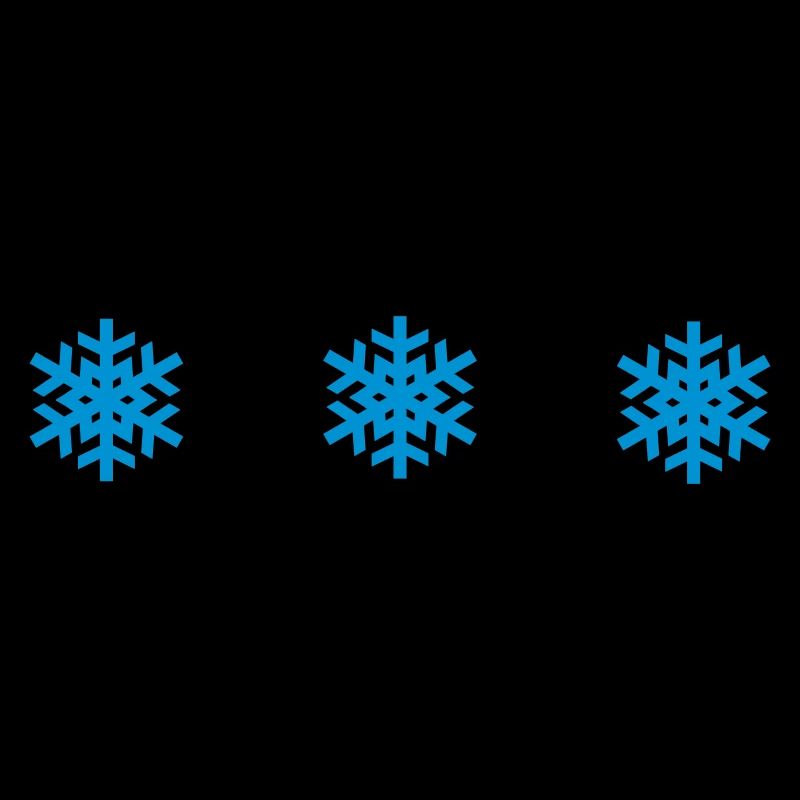 3 Schneeflocken Winter Sterne Wintersport Ski Team