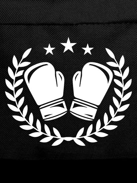 Boxhandschuhe Boxen