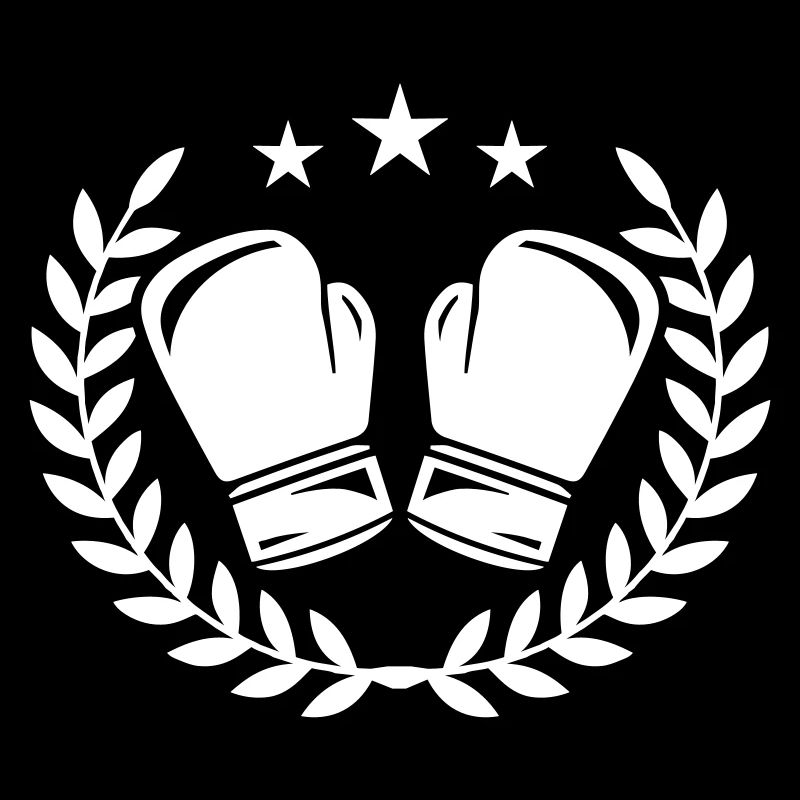 Boxhandschuhe Boxen