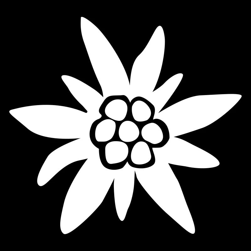 Edelweiss