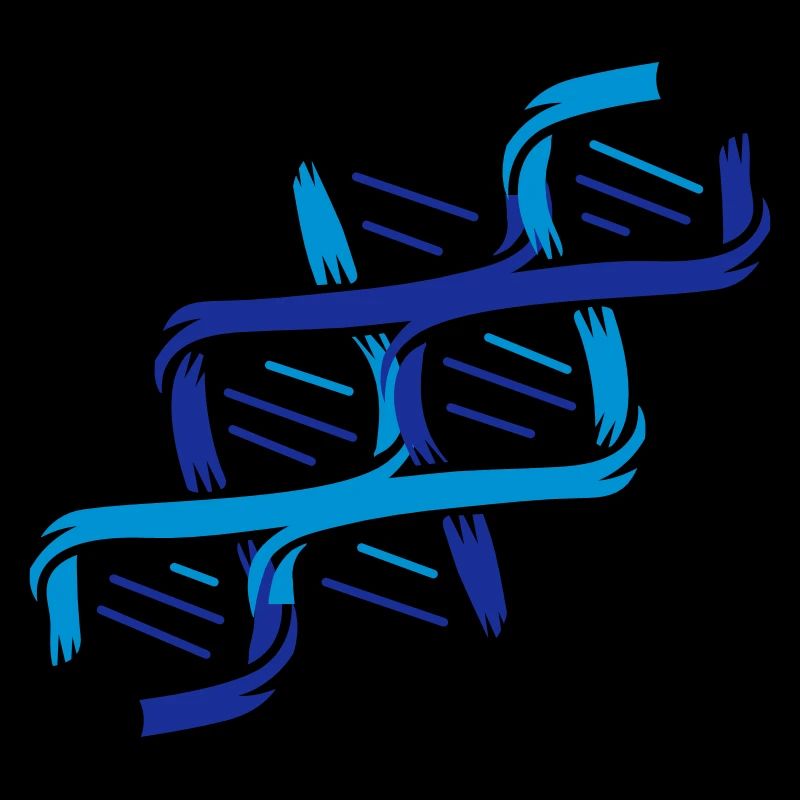 La structure d'une molécule d'ADN
