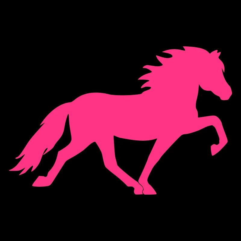 Isländer