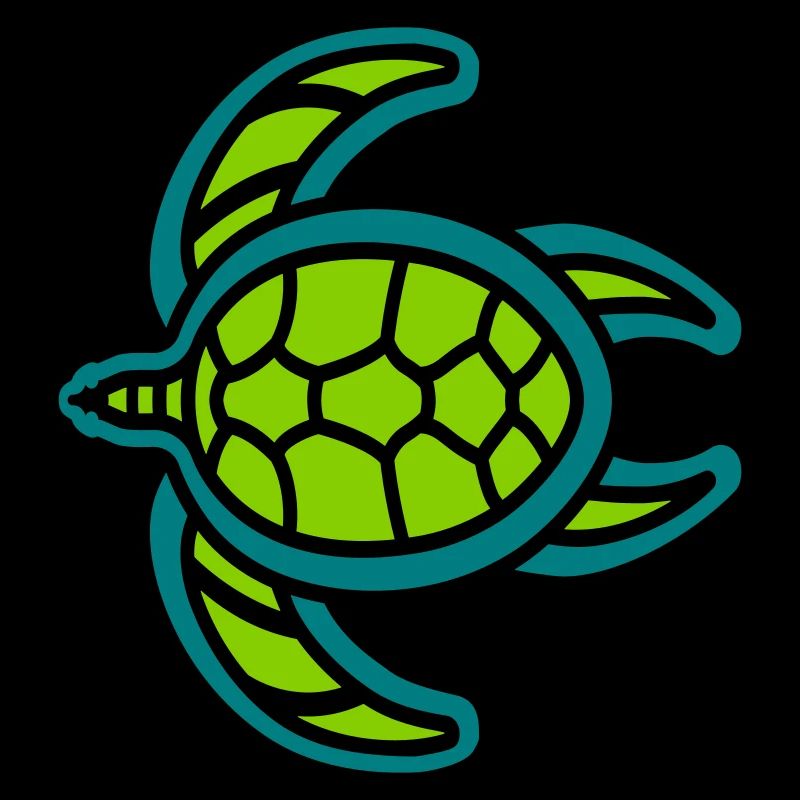 wee turtle