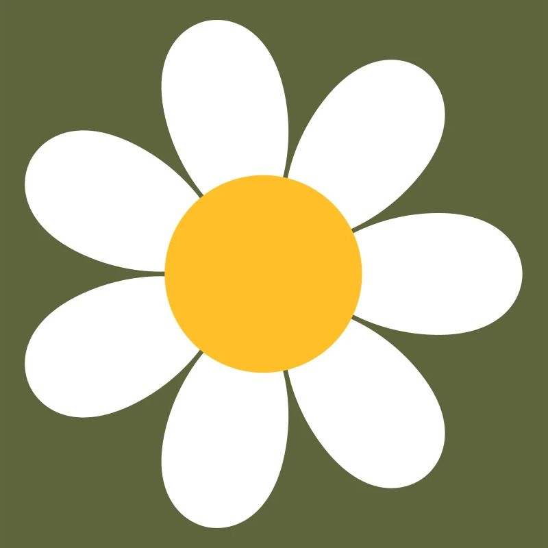 Gänseblümchen Blume