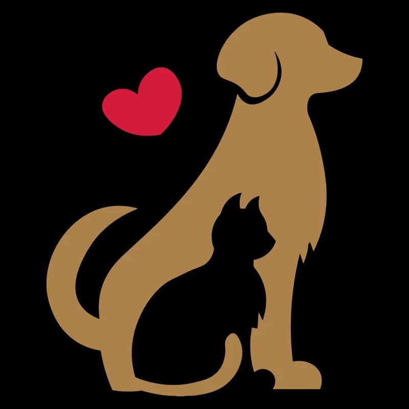 Chien et chat - amis animaux - Chien et chat