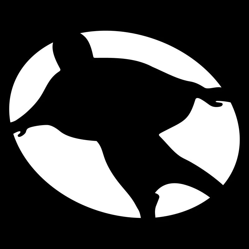 WINGSUIT PILOT FLUG BASE JUMPER