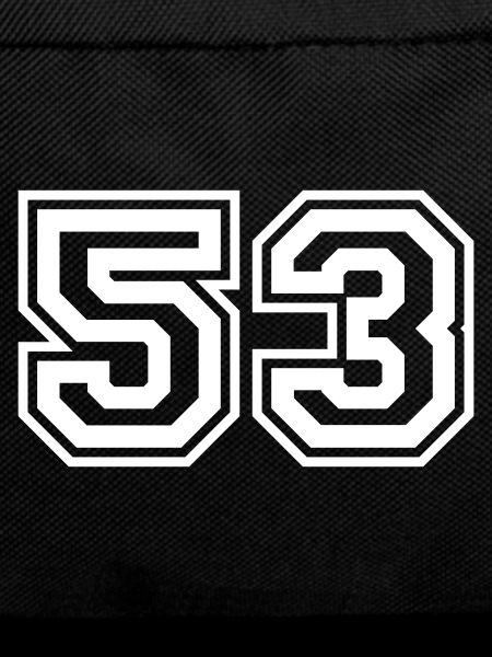 53 Number number