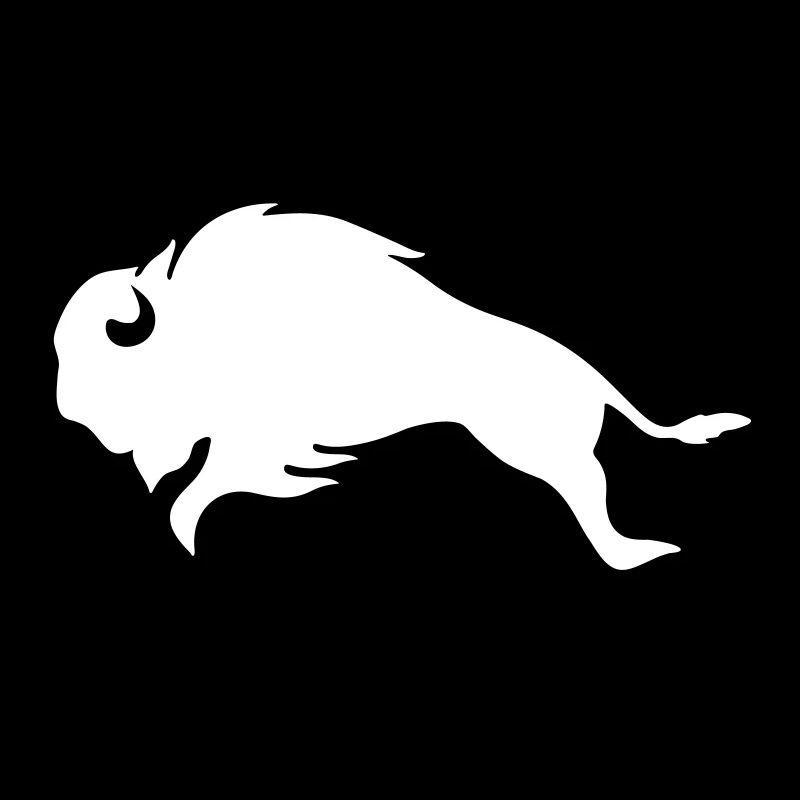 BISON BULL Bufallo