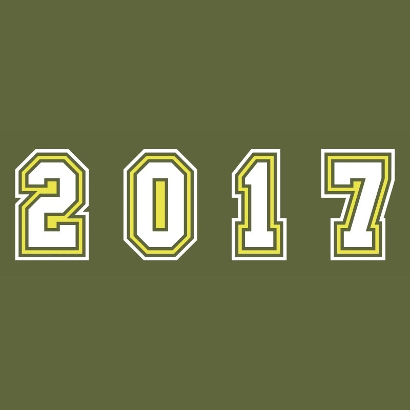 2017 Year Number