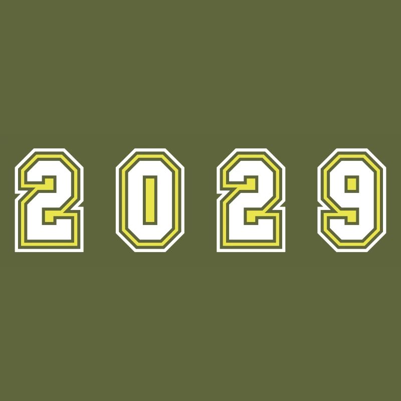 2029 Year Number
