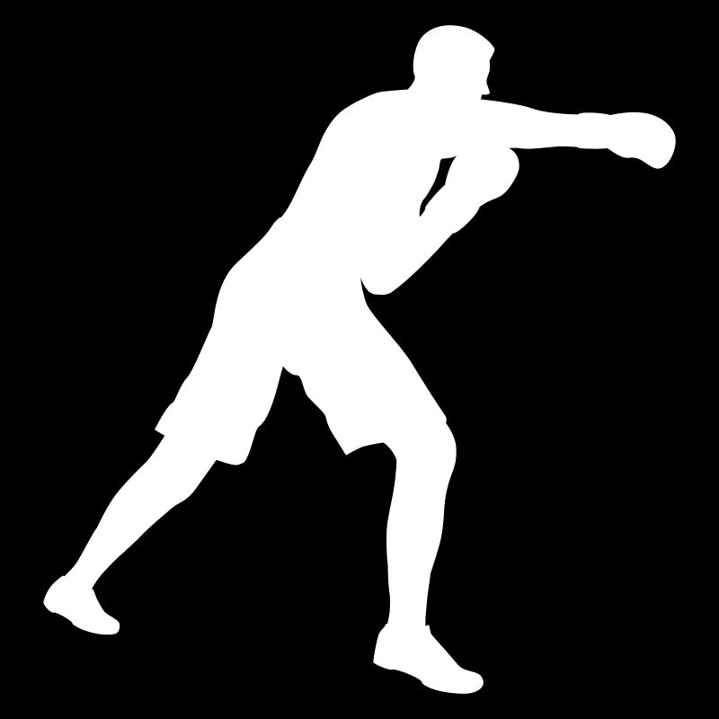 Boxer Boxen im Boxring