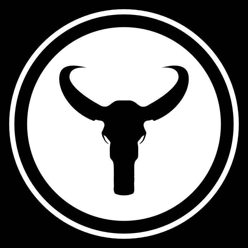 Bull skeleton