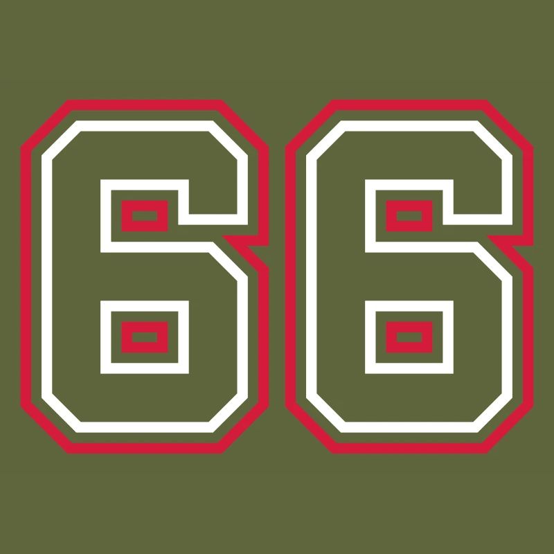 66 Numéro de numéro