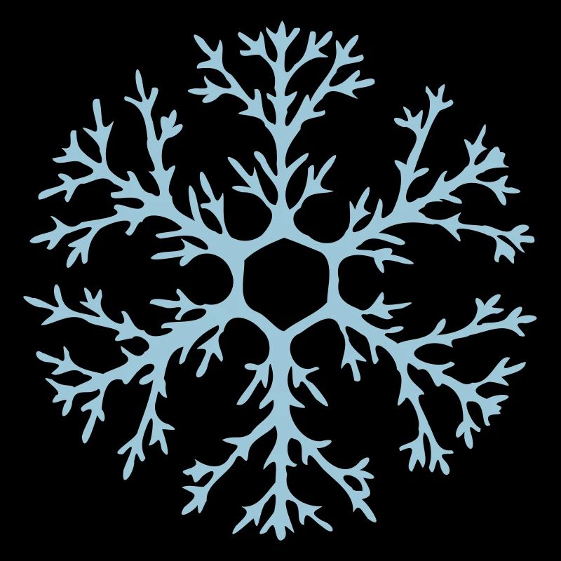 Flocon de neige naturel avec de nombreuses ramifications