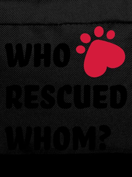 Animal Welfare Dog