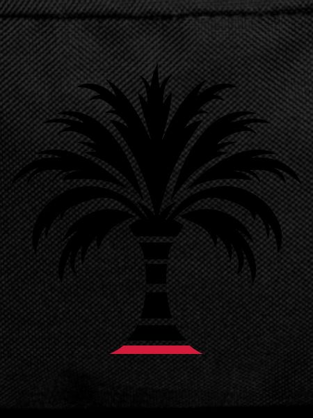 Palm Island