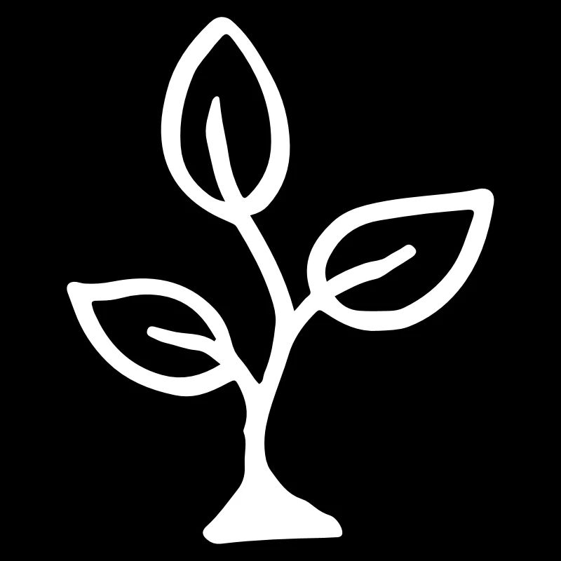 Seedling three-petal / sprout - sprout - plant