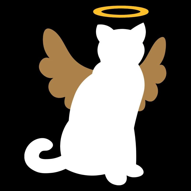 Chat ange - Chat ange - chat ange