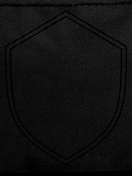 Coat of arms shield empty