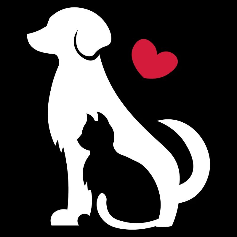 Chien avec chat - amis pour toujours - chat et chien