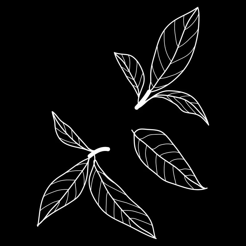 nature leaves 2 c1