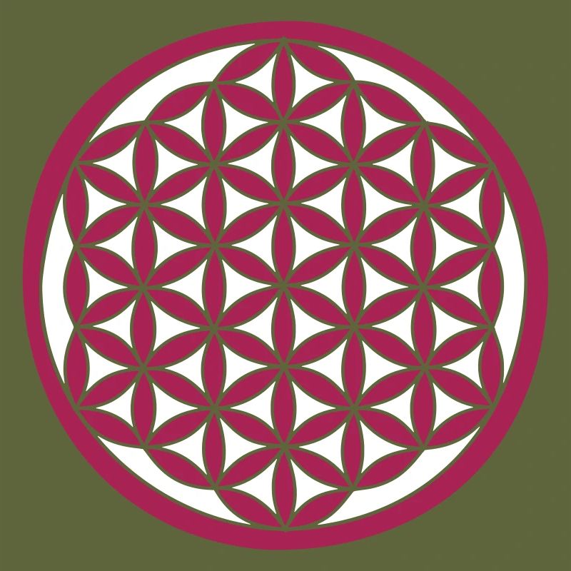 Flower of Life 2nd variant