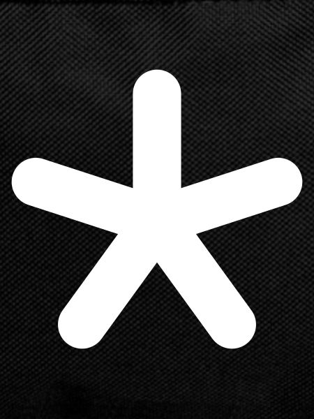Asterisks or gender asterisks