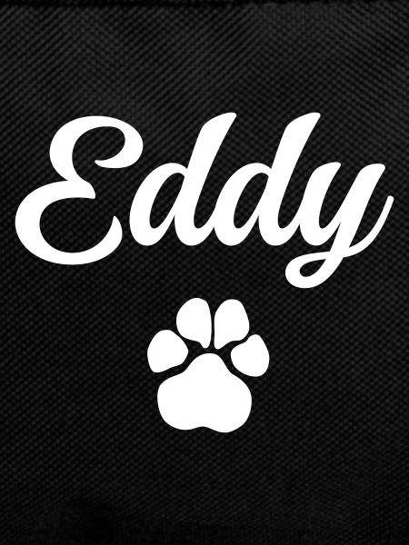 Dog name EDDY with paw