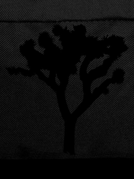 Joshua Tree