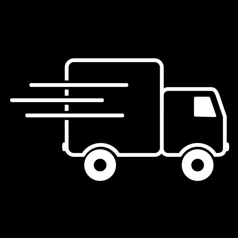 express-transporter / Schnelllaster (1c)