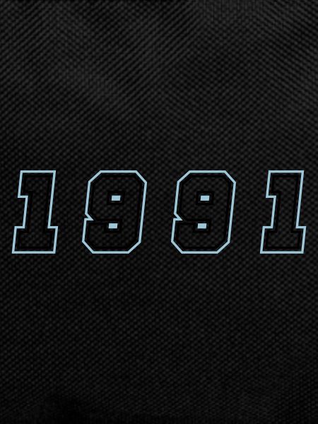1991 Year Number