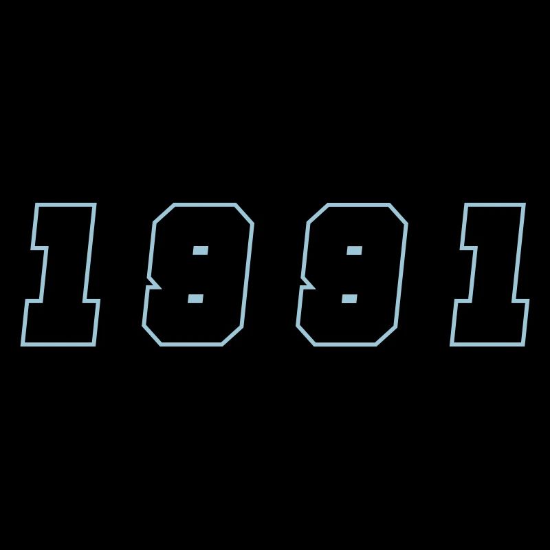 1991 Year Number