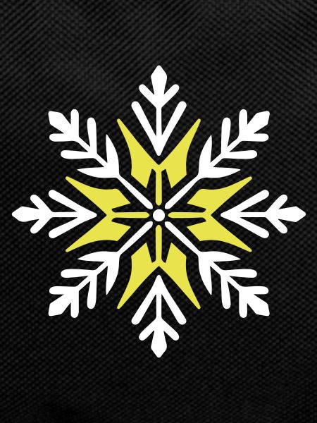 Snowflake Icon Winter