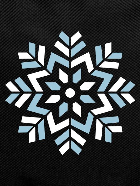 Snowflake Winter Icon