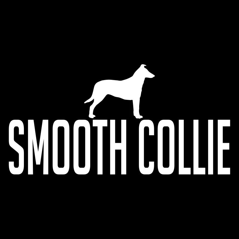 SMOOTH COLLIE Chiens Chien Wilsigns Cheveux courts Collie