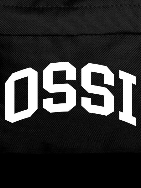 Ossi